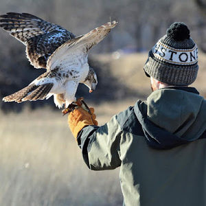 Meet your Posher, Brian